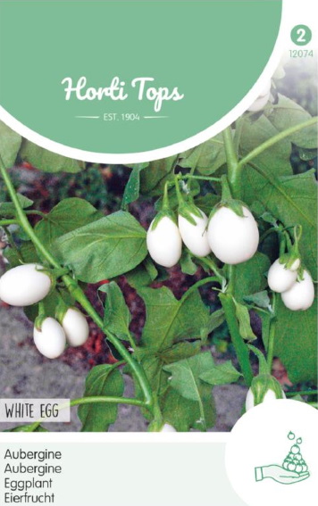 Aubergine White Eggs (Solanum) 50 zaden HT